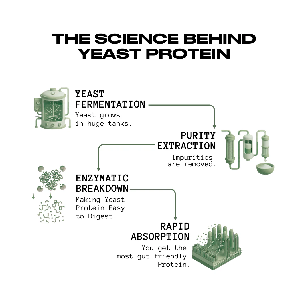 100% Pure Fermented Yeast Protein | Unflavoured - 30 Servings - Image 4