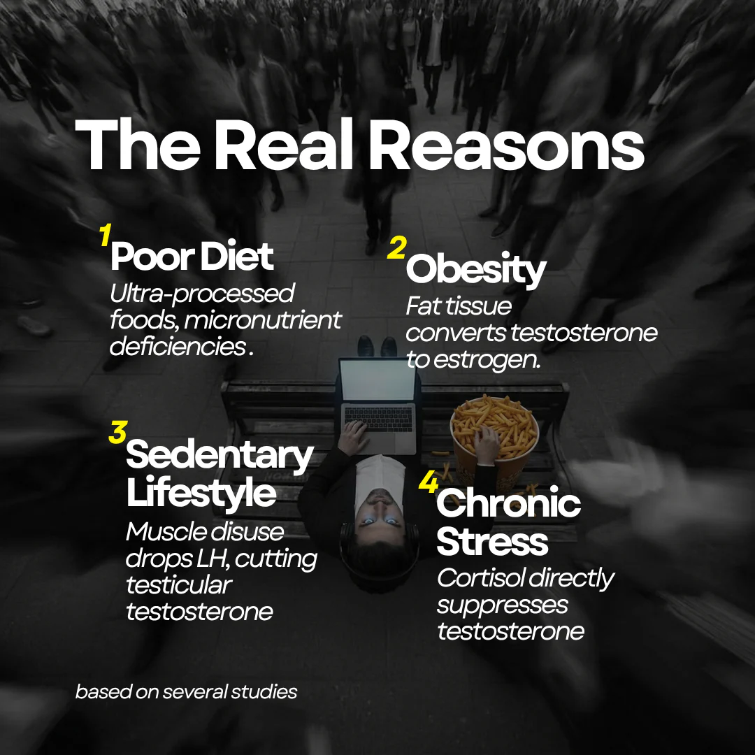 Godpill - 360° Testosterone Support - Image 3