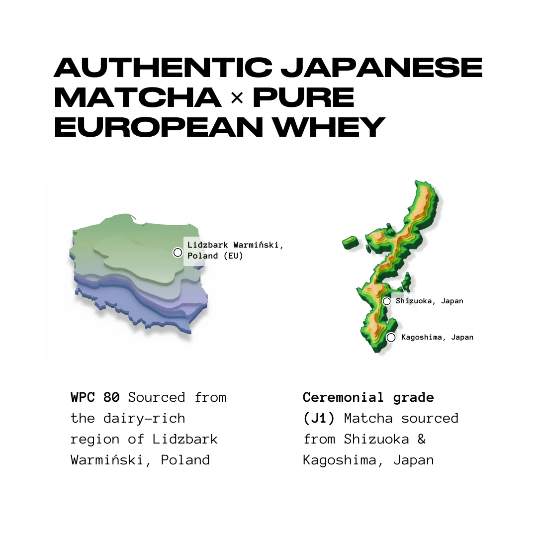Matcha x Protein | 26 Grams Protein | Polmlek® 30 Servings - Image 3